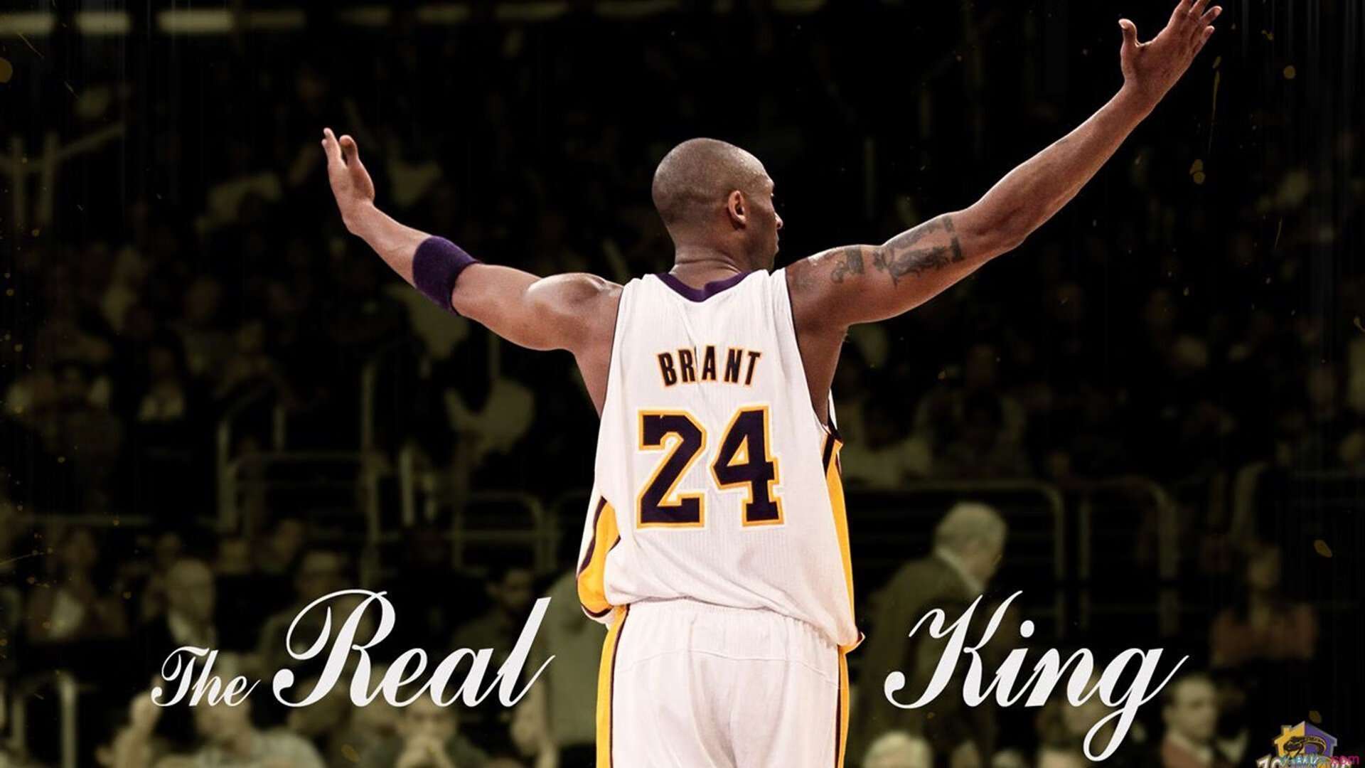 JIUYOU GAMING-“世界顶级选手齐聚武汉，马拉松赛场激烈开跑”