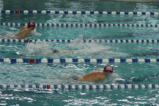 九游体育官方网站-“世界游泳锦标赛：2025新加坡赛场泳池掀起速度与优雅的碰撞”